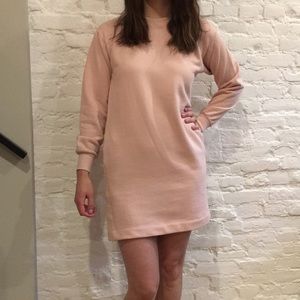 Pink Everlane sweatshirt dress
